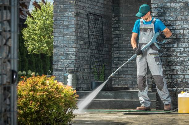 Best Gutter Cleaning  in Dinuba, CA