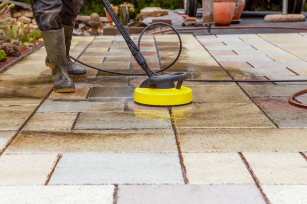 Best Roof Washing  in Dinuba, CA